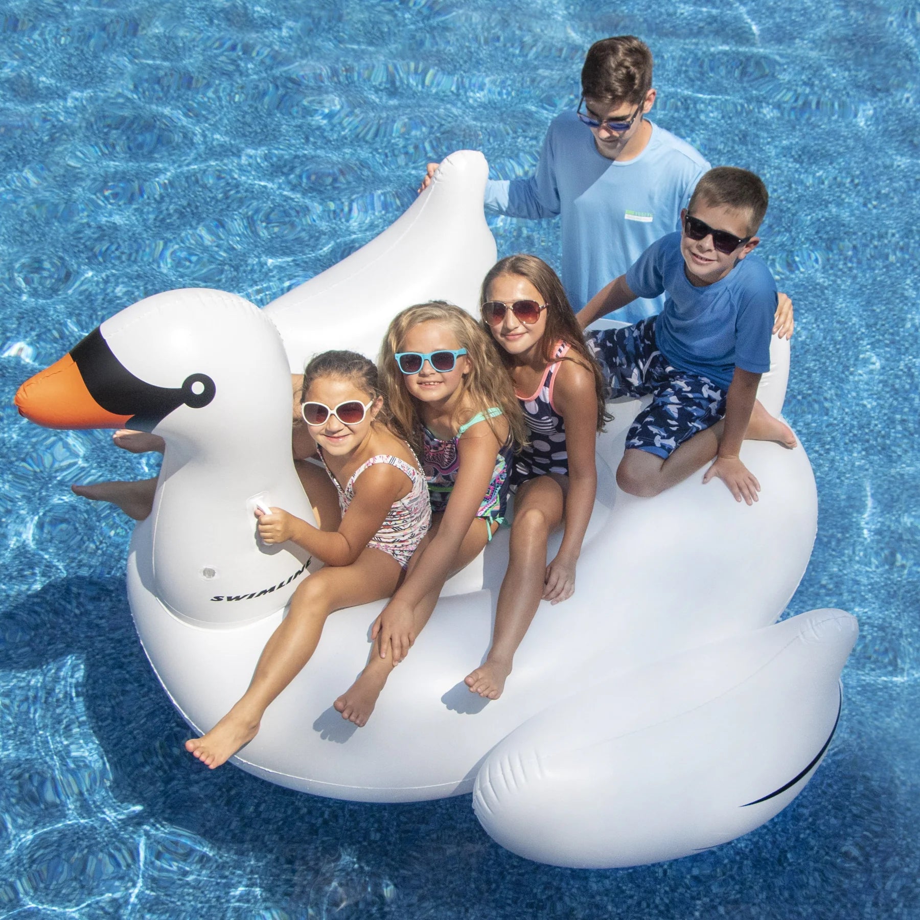 Giant Swan Pool Float