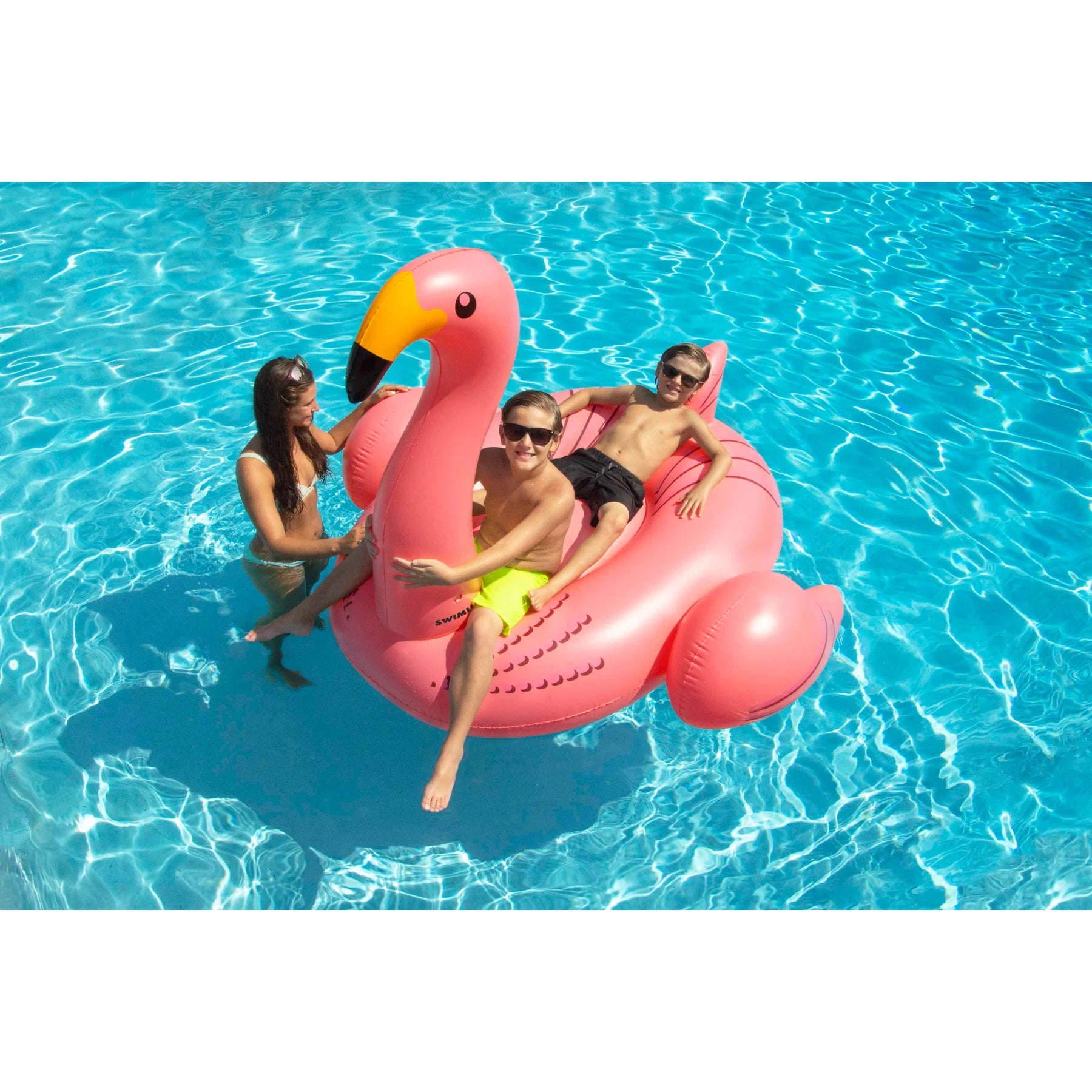 Giant Flamingo Pool Float