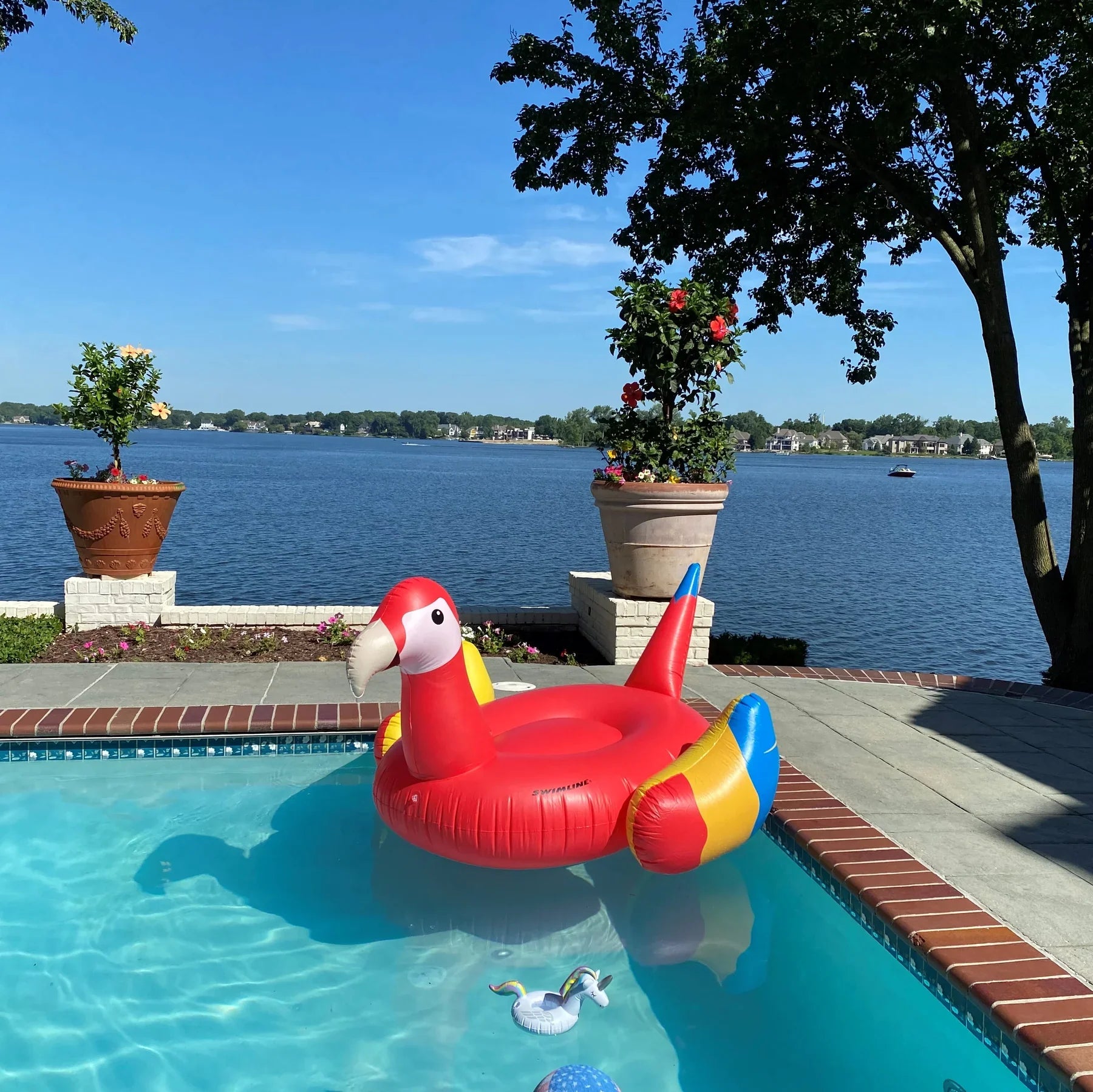 Giant Parrot Pool Float